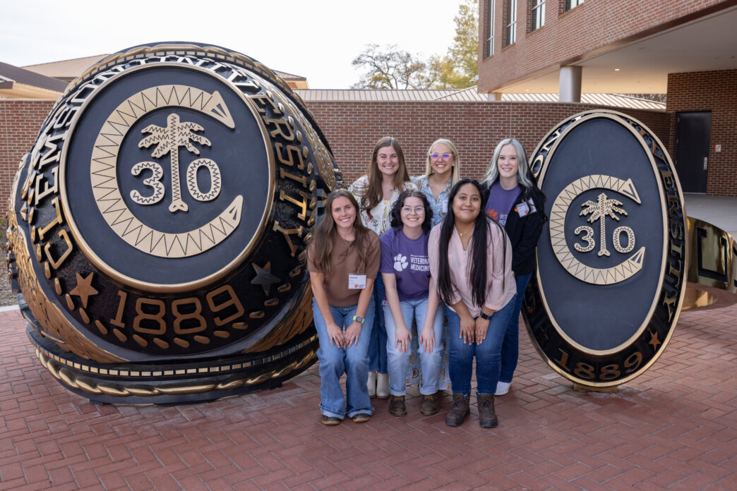 Six female Darla Moore Scholars, posing between two giant Clemson University class ring replicas, two of them are wearing vet med t-shirts