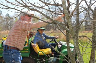 Clemson plant pathologist Steve Jeffers and Dr. Joe James inspect chestnut trees for signs of blight at James’s Chestnut Return Farms near Seneca, South Carolina.