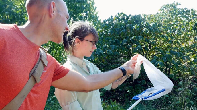A man wearing an orange t-shirt helps a woman wearing glasses with a butterfly net outside near a bush
