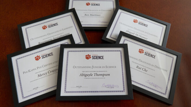 Photo of six framed certificates for the Clemson College of Science student award winners spread out on a table.