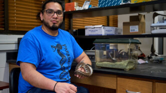 A man wearing a blue t-shirt holds a snake in one hand while sitting in front of a lab table.
