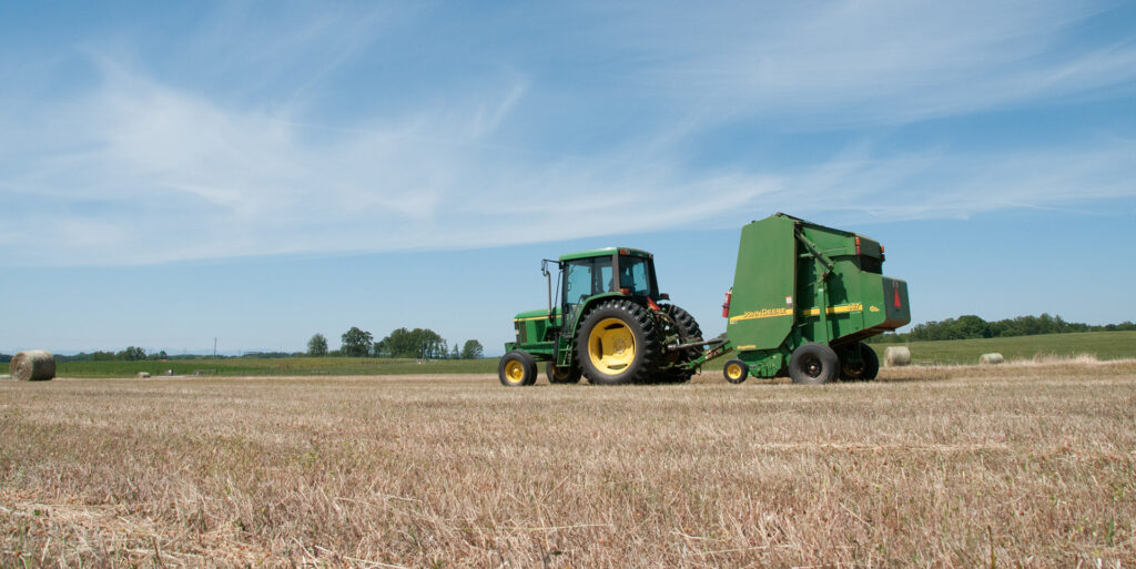 Tall fescue harvest is underway and Clemson Extension scientists advise growers to adjust harvest strategies for the current dry conditions.