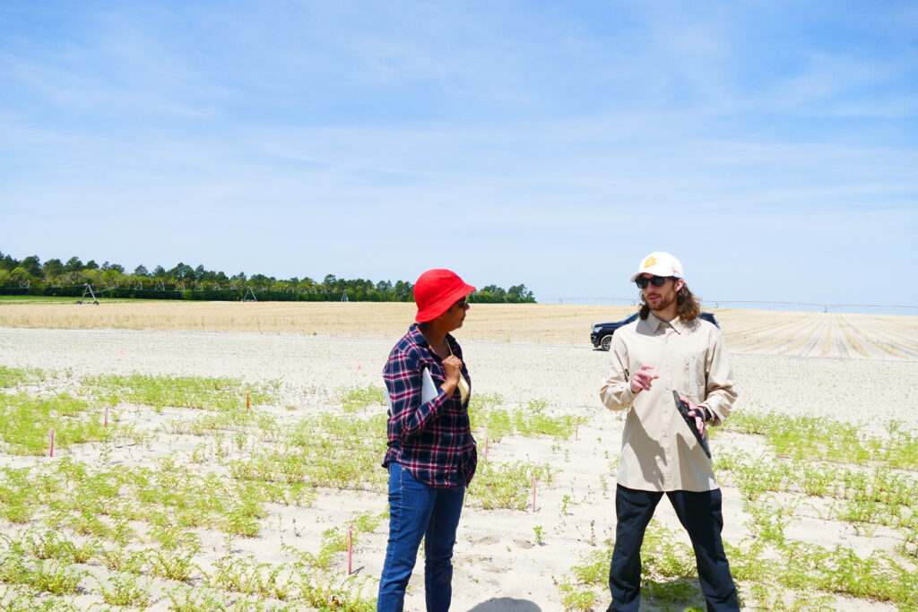 Tristan Lawrence and Dil Thavarajah discuss field pea production at WP Rawl Farms near Pelion, South Carolina.