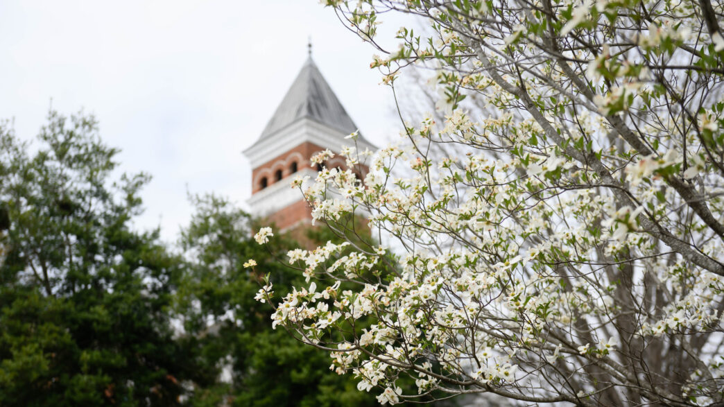 Flowers in front of Tillman Hall.