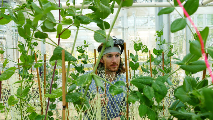 For Tristan Lawrence, the Clemson Experience is about more than academic achievement. It’s about relationships formed, lessons learned and a community that continues to shape who he is becoming.