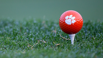 Orange Tiger Paw golf ball on a tee
