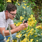 A man with dark hair and glasses kneels while he takes a photo of some flowers in a garden with his cell phone.