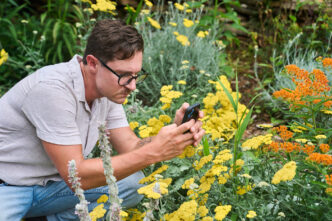 A man with dark hair and glasses kneels while he takes a photo of some flowers in a garden with his cell phone.