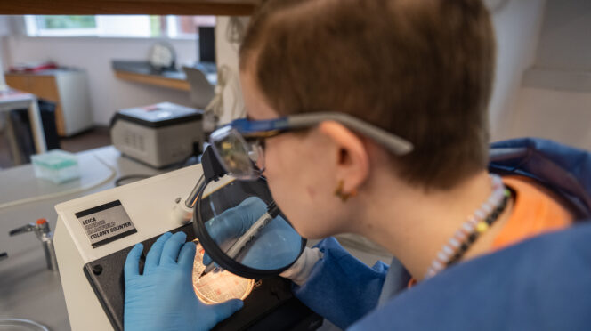 A student uses a piece of laboratory equipment.