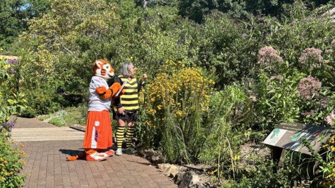 The Tiger and Patricia Whitener look for pollinators in the CAFLS demonstration garden.