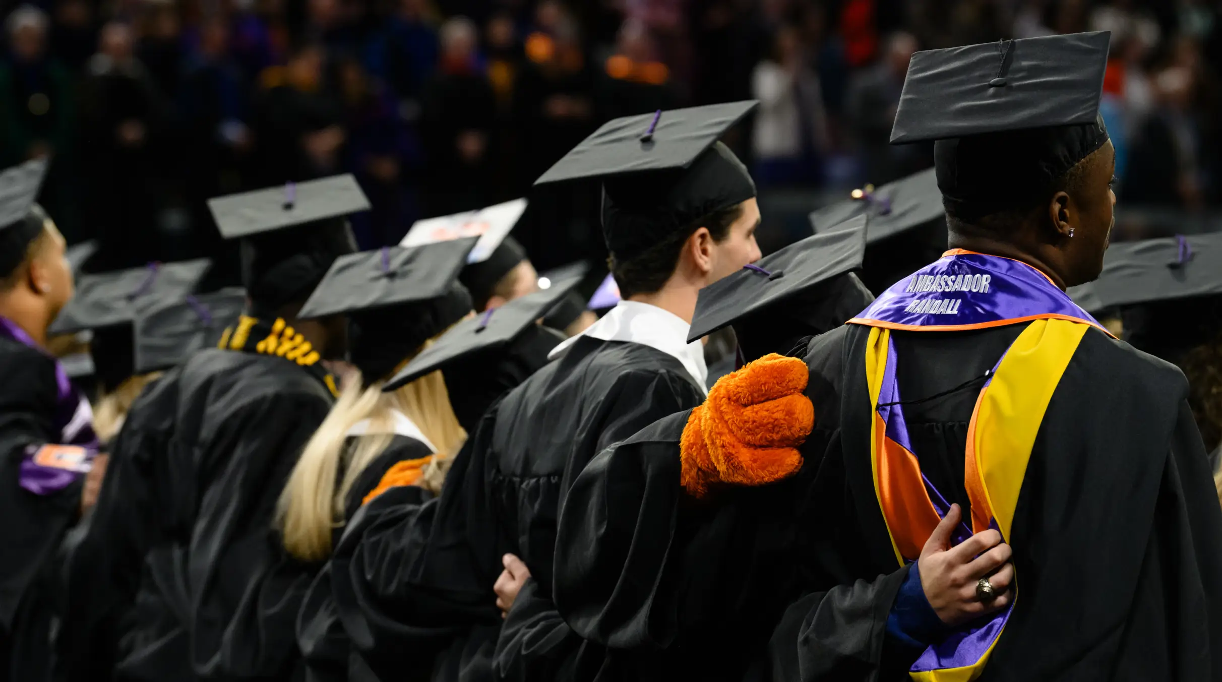 Celebrating Our Graduates | Clemson News