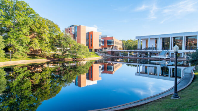 Reflection pond.