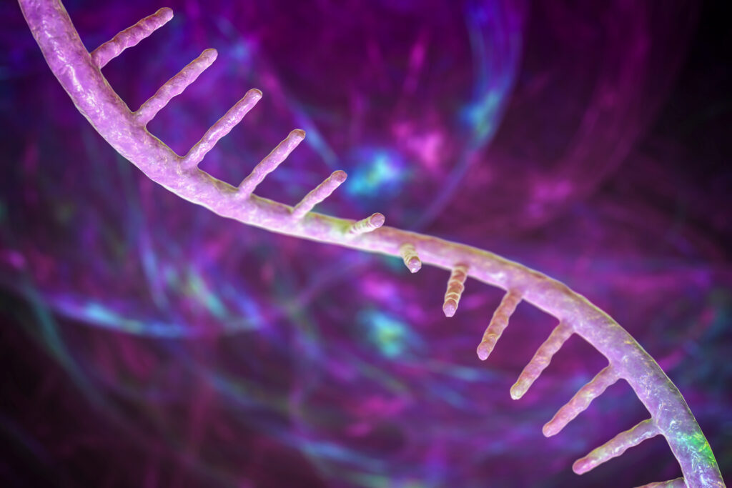 An artist illustration of mRNA molecule.