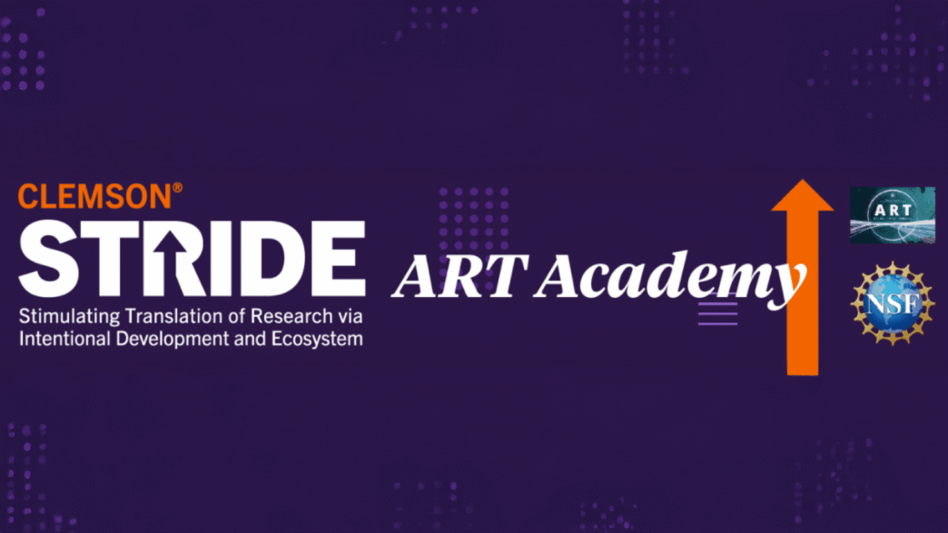 NSF STRIDE Art Academy logo.