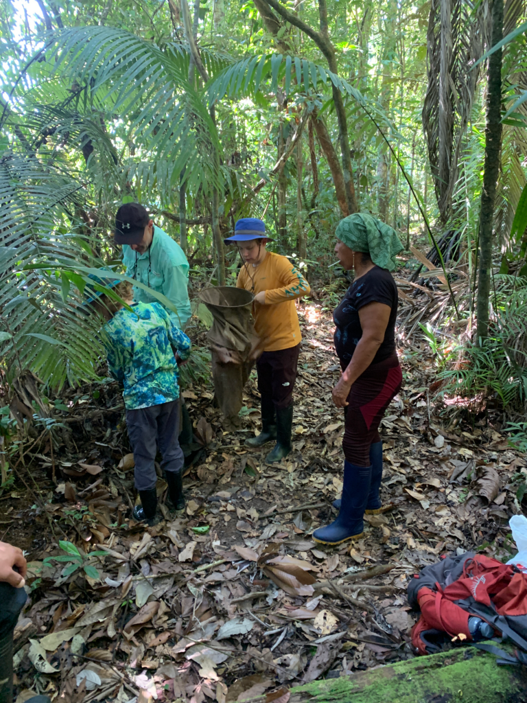 Caterino and sons Peter (sifting) and Jonah, sampling leaf litter arthropods with Doña Rita in the Cuyabeno Wildlife Reserve, Sucumbíos Province, Ecuador.