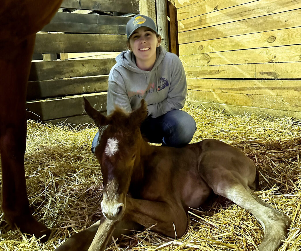 Erika Hwang's horse is born at the Clemson Equine Center.