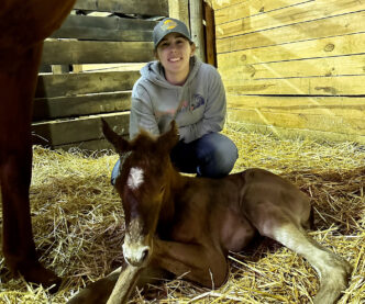 Erika Hwang's horse is born at the Clemson Equine Center.