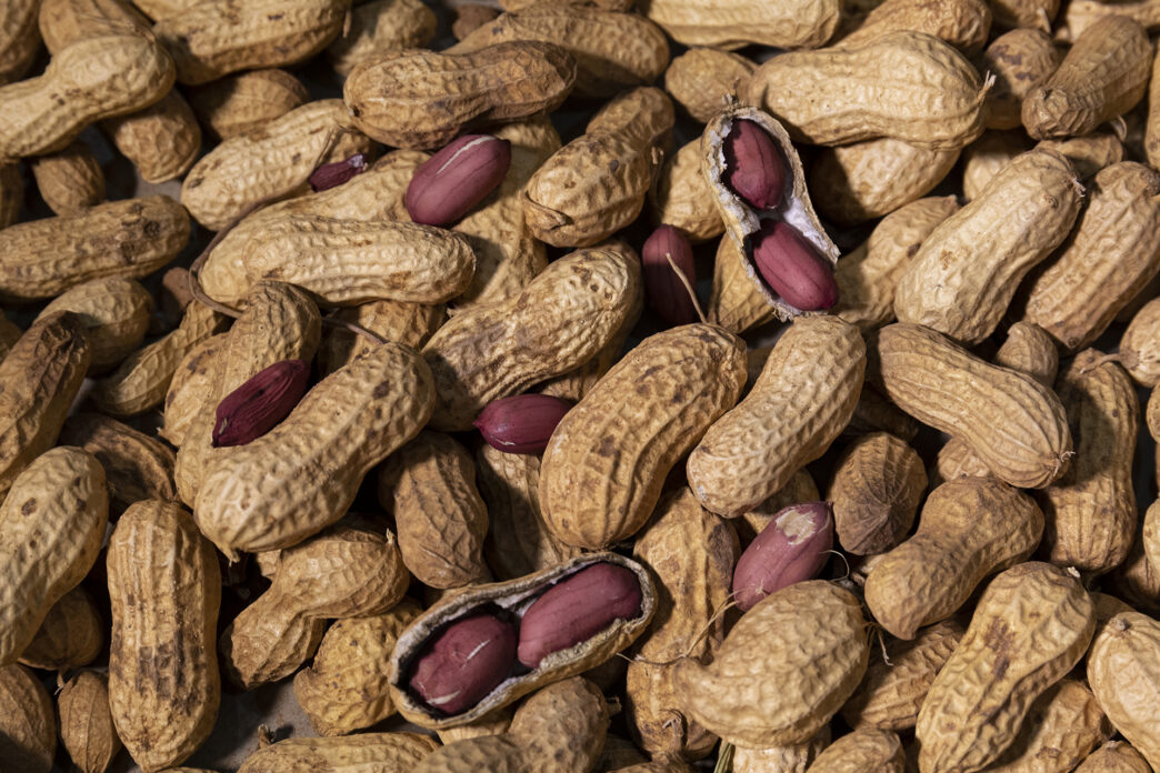 Clemson scientists have identified naturally occurring peanut lines with lower levels of the proteins responsible for most allergic reactions.