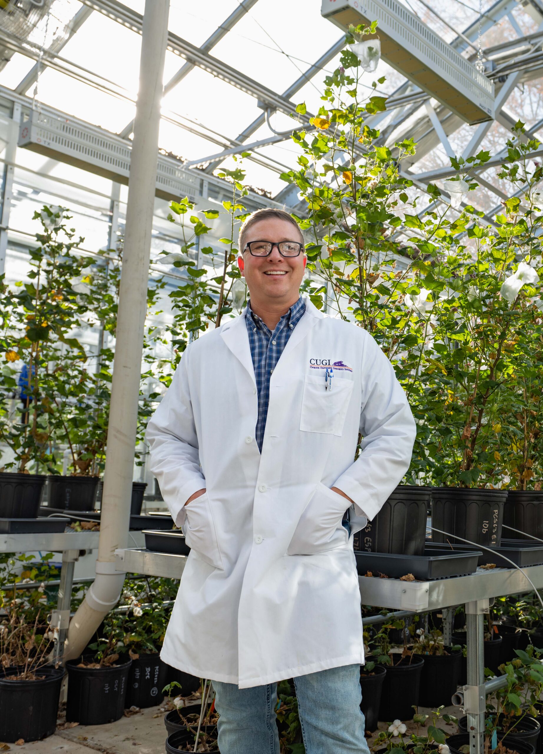 man in a lab coat, standing in a greenhouse of cotton plants
