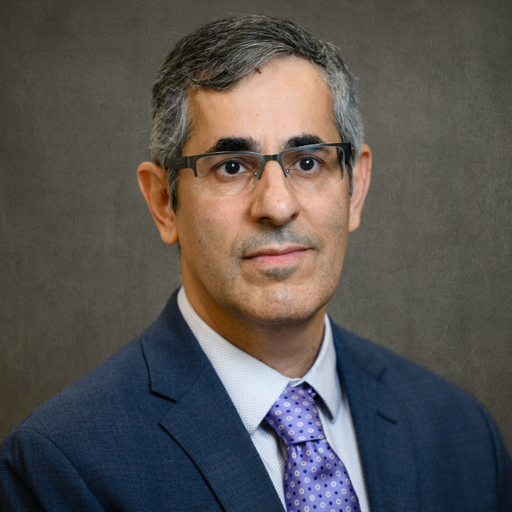Ardalan Vahidi