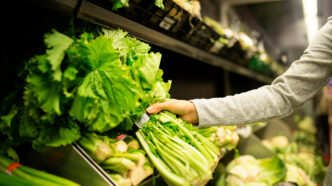 A female hand is removing a bunch of lettuce-like greens from a grocery store produce shelf.