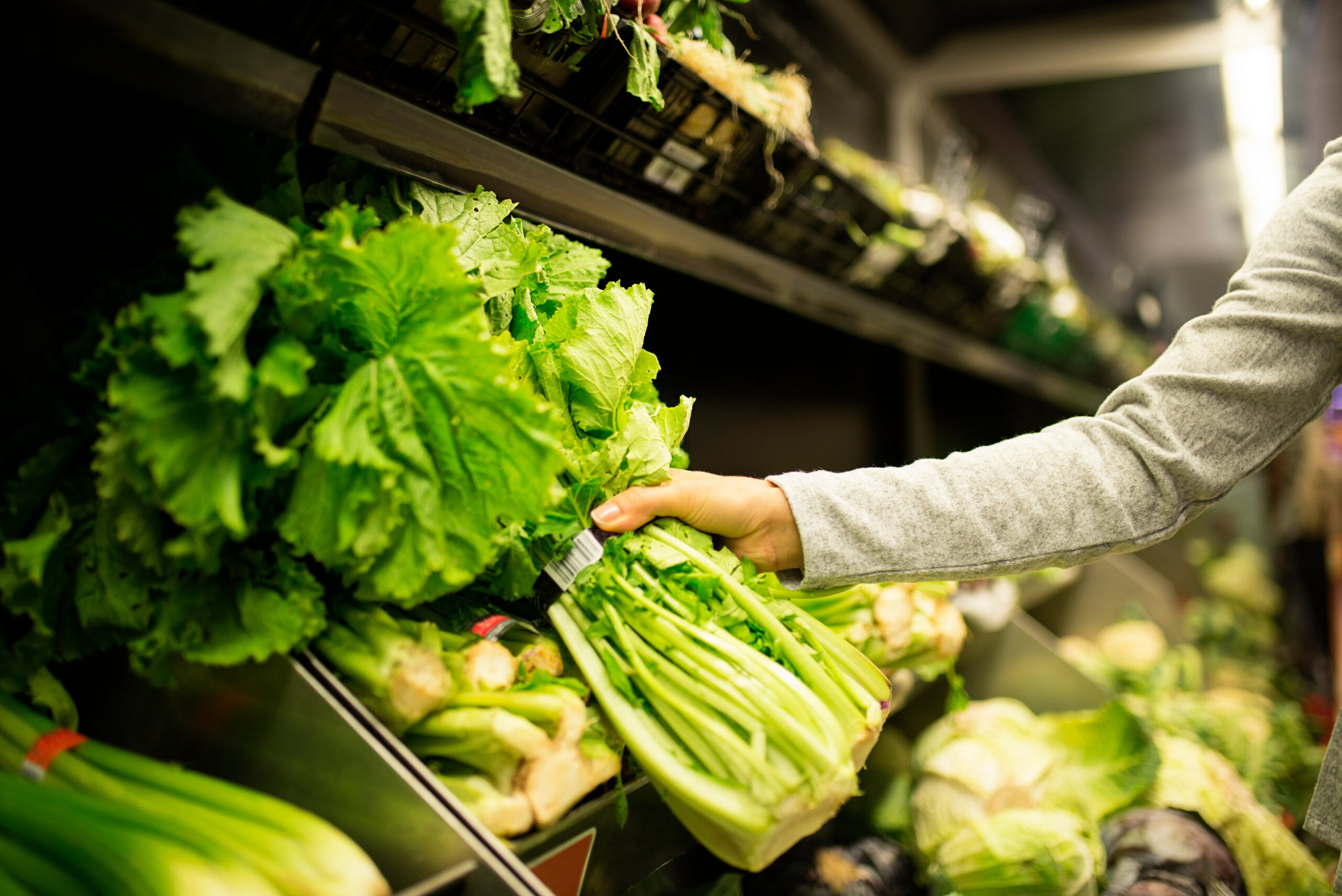 How does Salmonella contaminate everything under the sun? A food safety specialist explains how you can stop its spread