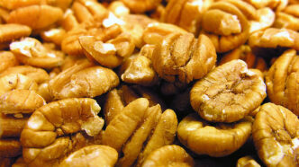 Clemson Extension scientists are studying to improve pecan cultivars for South Carolina growers.