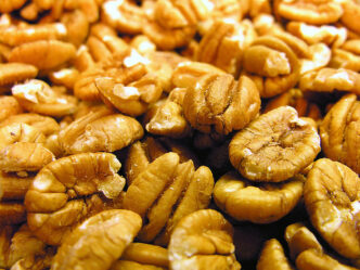 Clemson Extension scientists are studying to improve pecan cultivars for South Carolina growers.