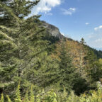 Leaf color is starting to change in higher elevations such as at Devil's Courthouse.