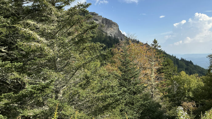 Leaf color is starting to change in higher elevations such as at Devil's Courthouse.