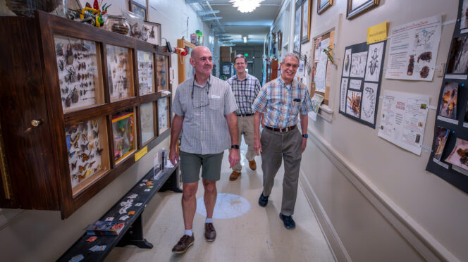 Three men walk down a hallway decorated with insect displays and posters.