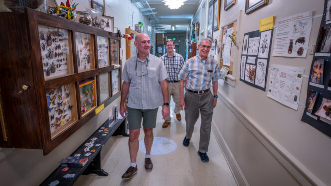 Three men walk down a hallway decorated with insect displays and posters.