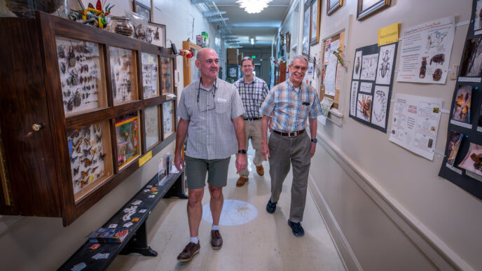 Three men walk down a hallway decorated with insect displays and posters.