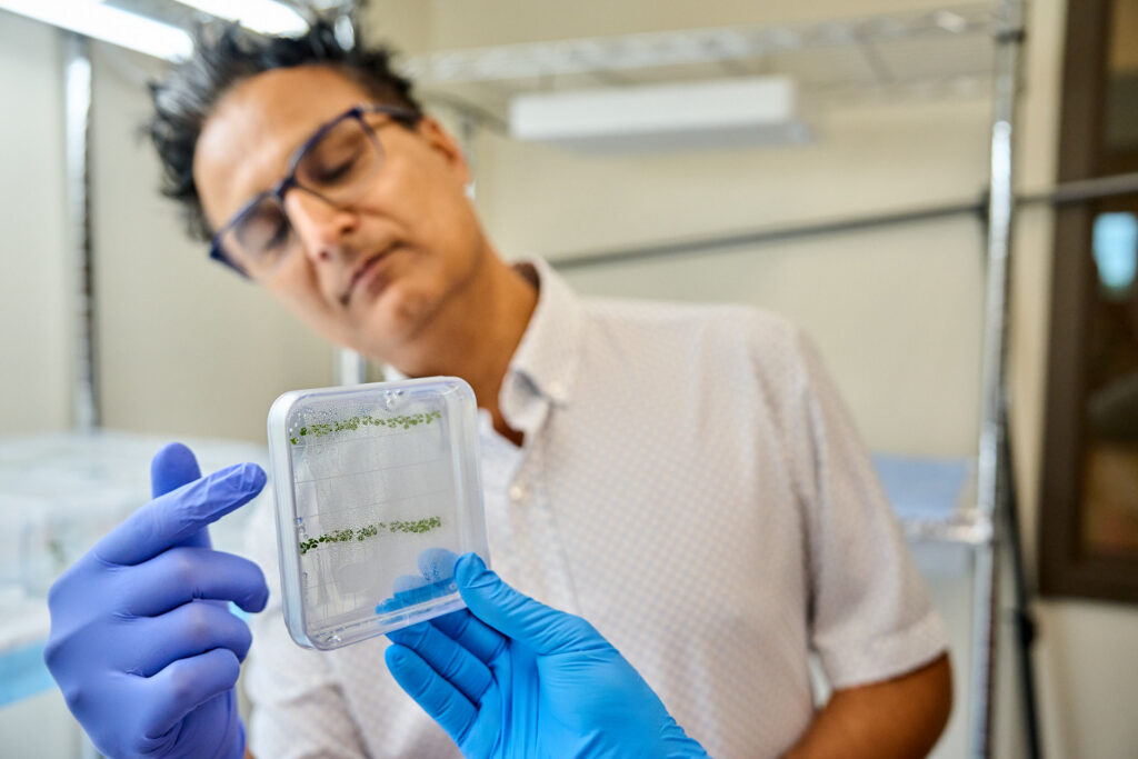 A man wearing a collared shirt and purple gloves looks at a device that has a green line in it.