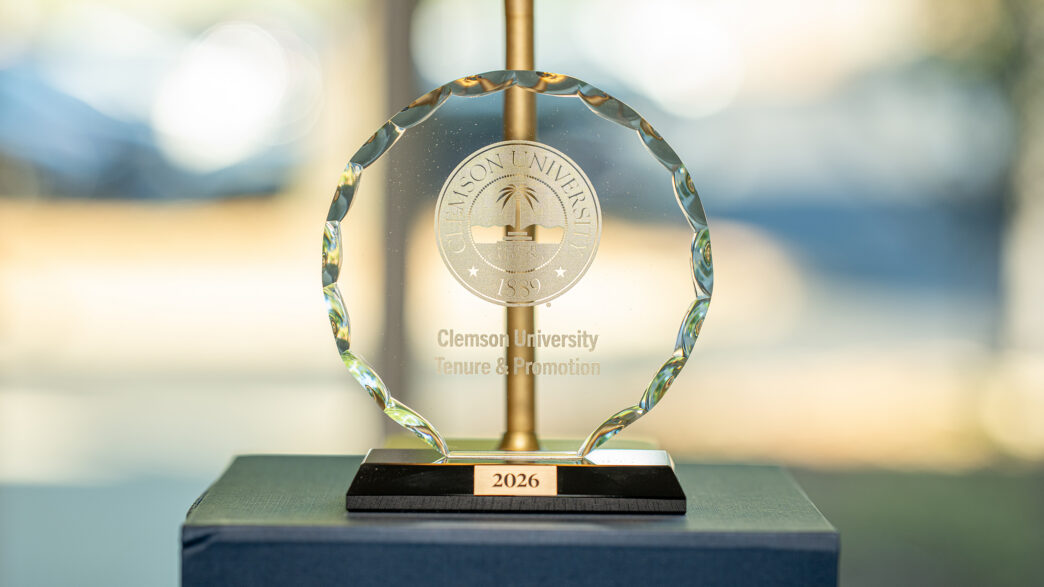 Tenure and Promotion celebration award.