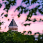 Sunset view of Tillman Hall in the background of trees.