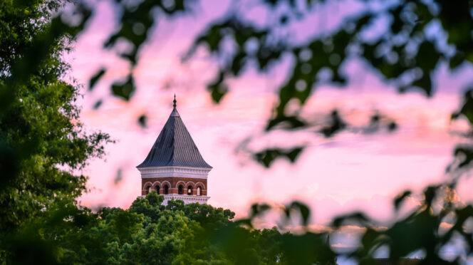 Sunset view of Tillman Hall in the background of trees.