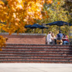 Close up of fall tree with people in the background sitting around a table at the top of the stairs.