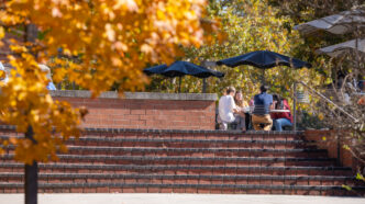 Close up of fall tree with people in the background sitting around a table at the top of the stairs.