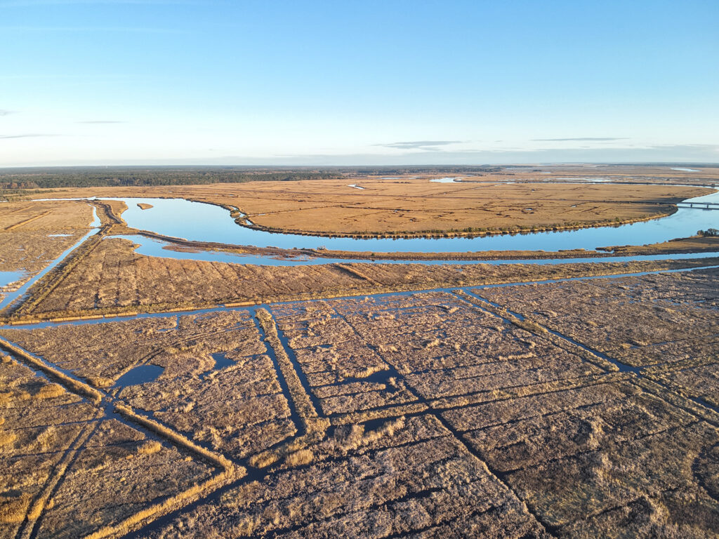 Getting equipment into remote areas of wetlands where the animals that need to be studied actually are is one of the main challenges scientists face.